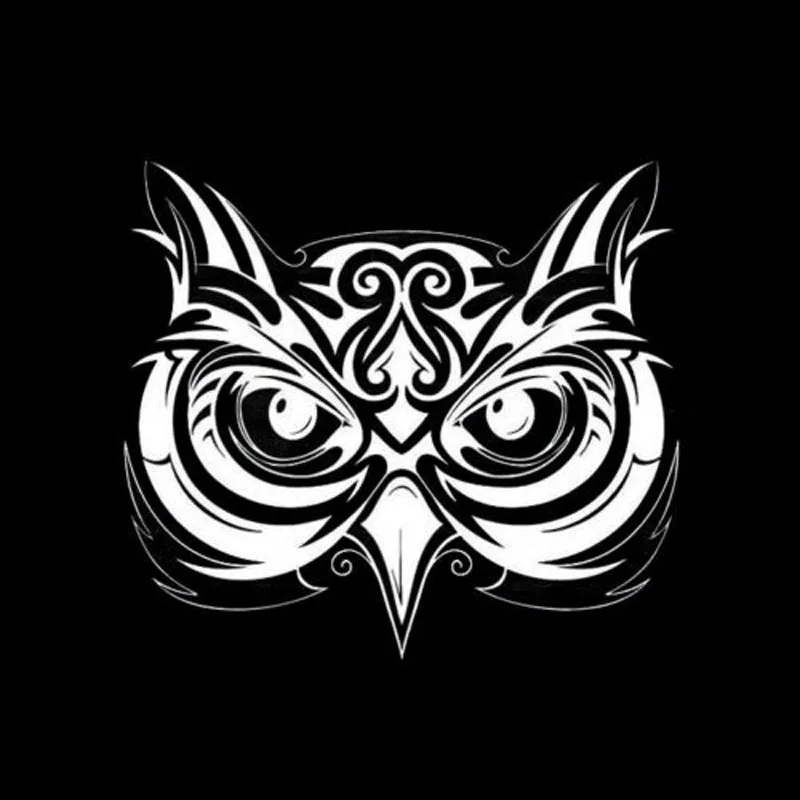 Car Sticker Owl Pattern Anime  - Car Accessories Useful reseña y precio